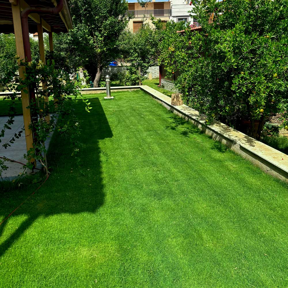 doganbey-2