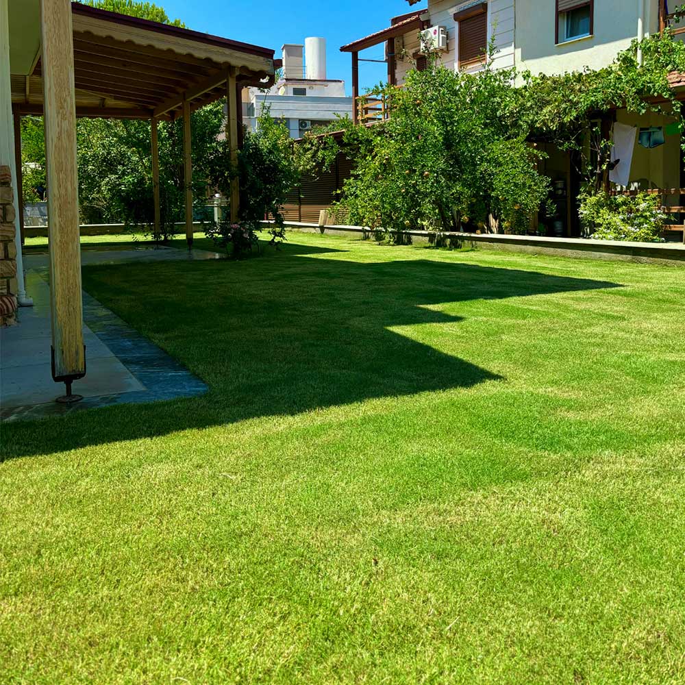 doganbey-4