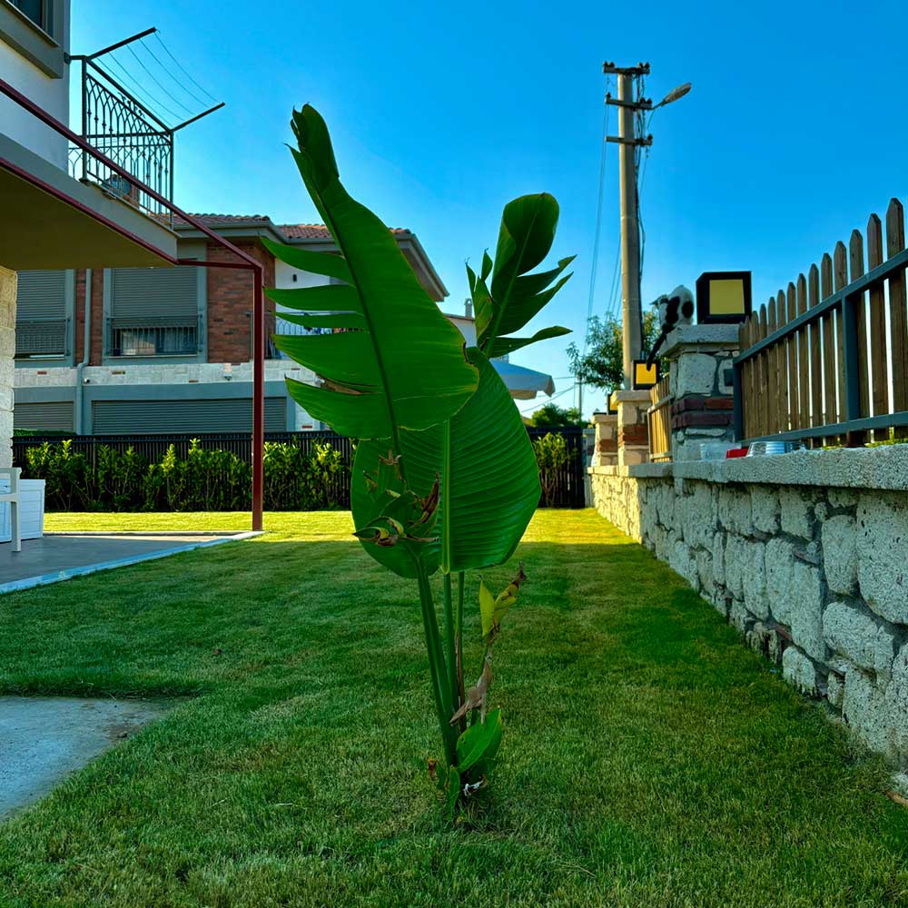 mordogan-villa-2_5